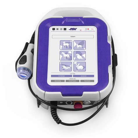 veterinary laser therapy machine